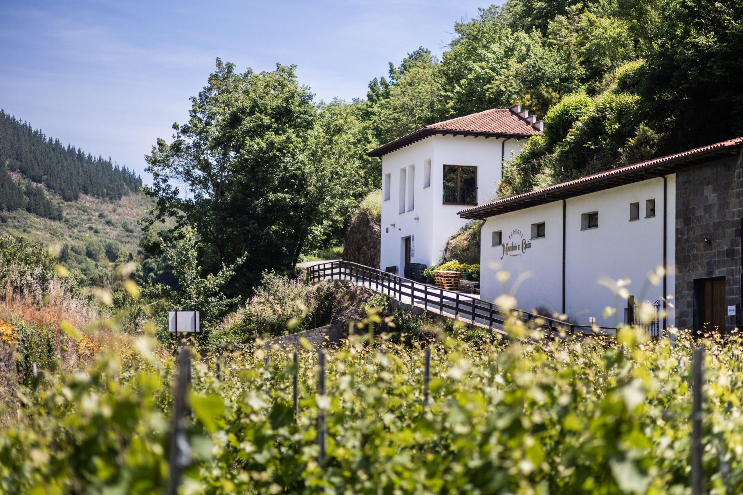 Bodegas Monasterio de Corias_063
